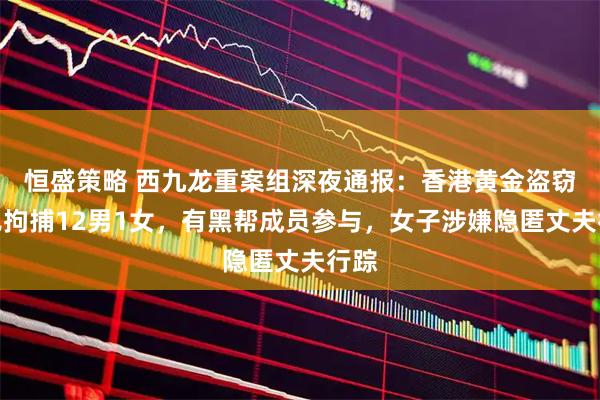 恒盛策略 西九龙重案组深夜通报：香港黄金盗窃案已拘捕12男1女，有黑帮成员参与，女子涉嫌隐匿丈夫行踪