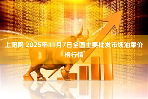 上阳网 2025年11月7日全国主要批发市场油菜价格行情