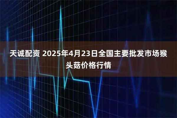 天诚配资 2025年4月23日全国主要批发市场猴头菇价格行情