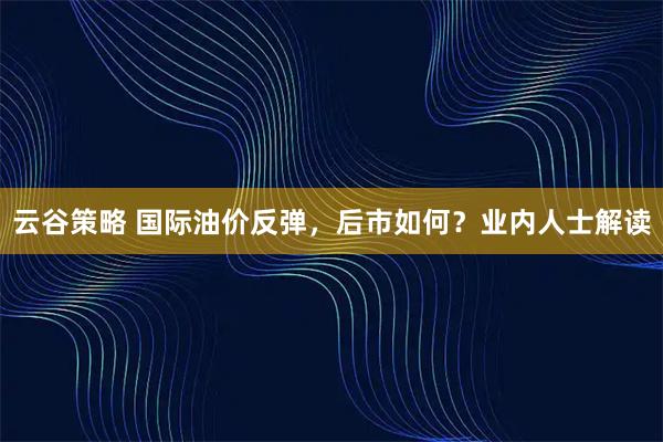 云谷策略 国际油价反弹，后市如何？业内人士解读